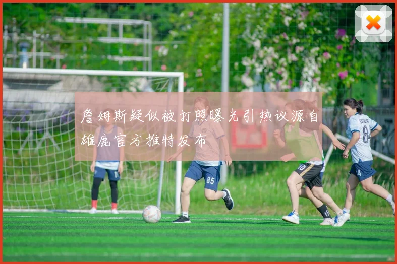 詹姆斯疑似被打照曝光引热议源自雄鹿官方推特发布